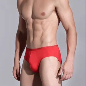 Nieuwe Mannen Custom Design Ondergoed Nieuw 2022 Groothandel Nylon Transparant Sexy Heren Ondergoed Voor Homo Slips