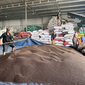 Poivre noir séché épicé biologique, meilleur prix, en vrac 500/550 GL, épices brutes d'usine vietnamienne, ANNA - Product Image 1