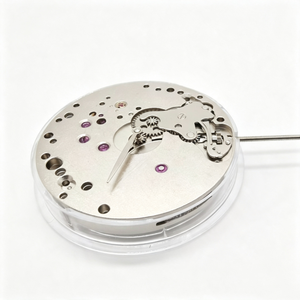 Nouveau <span class=keywords><strong>mouvement</strong></span> mécanique pour montre en métal, <span class=keywords><strong>mouvement</strong></span> original Hangzhou 9310, compatible avec les mouvements <span class=keywords><strong>Eta</strong></span> <span class=keywords><strong>6497</strong></span> 6498 - Product Image 3