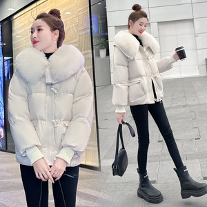 Chaqueta Casual Versátil de <span class=keywords><strong>Mujer</strong></span> con Solapa, Estilo Moderno y Elegante, Nueva Colección Invierno 2026, Venta al por Mayor para Boutiques - Product Image 3