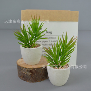 Plantes succulentes artificielles en pot miniature Dongchen Crafts, 10 cm-30 cm, en plastique, décoration intérieure et extérieure - Product Image 2