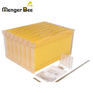New Assembled Beehive <b>Deep</b> <b>Frames</b> Flowing <b>Frame</b> Bee Wax Foundation Sheet Food Grade Plastic 7pcs for Automatic Flowing Beehive - Product Image 2