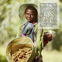 Huile Essentielle de Baobab Premium, Pressée à Froid, Naturelle, Sucrée, 100% Pure, Extrait Biologique, Matière Première Cosmétique