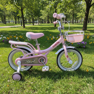 Vélo pour enfants rose à une vitesse, fourche en acier, roues en alliage d'aluminium, avec roues d'apprentissage pour garçons et filles - Product Image 1