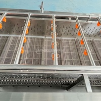 Hoogrenderende Roestvrijstalen Industriële Fruitgroente & Spinazie Salade Kool Wasmachine Productielijn Verwerking
