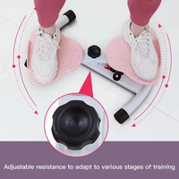 Appareil de fitness pour la maison, machine à torsion pour la perte de poids, amincissement de la taille, équipement de sport pour le ventre féminin, danse
