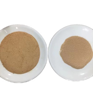 <span class=keywords><strong>Levadura</strong></span> <span class=keywords><strong>de</strong></span> Cerveza en Polvo <span class=keywords><strong>de</strong></span> Alta Calidad, 40% <span class=keywords><strong>de</strong></span> Proteína, Alimento para Animales y <span class=keywords><strong>Levadura</strong></span> <span class=keywords><strong>de</strong></span> Cerveza, Bolsa <span class=keywords><strong>de</strong></span> 25 kg - Product Image 4