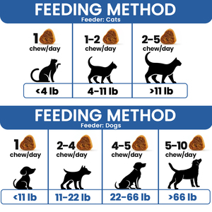 Friandises à mâcher douces pour le soutien des reins des chiens et des chats, extrait de curcuma, <span class=keywords><strong>acide</strong></span> bilique, extrait de racine de pissenlit - Favorise le métabolisme des graisses et la santé - Product Image 3