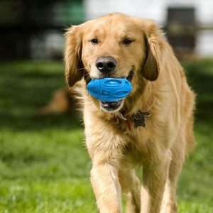 Jouets à mâcher pour chiens en caoutchouc TPR de haute qualité de qualité alimentaire jouets interactifs écologiques et durables pour animaux de compagnie sans danger pour les animaux de compagnie en gros - Product Image 5