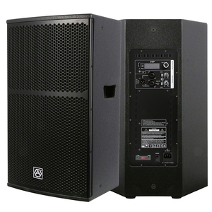 WHN15D3-3.2K Âm Thanh Chuyên Nghiệp Chính Xác Loa Trầm Bluetooth Di Động Tiệc Dj Bằng Gỗ <span class=keywords><strong>15</strong></span> <span class=keywords><strong>Inch</strong></span> Loa Siêu Trầm Loa Pa Công Suất Loa Hộp Âm Thanh - Product Image 1