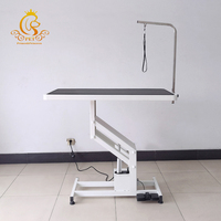 Table de toilettage électrique réglable pour grands chiens EUR PET – Table de toilettage pour animaux de compagnie, fournitures pour le nettoyage des chiens, table de toilettage pour chiens d'hôtelierie