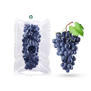Factory Direct Sale New Products Fruit Vegetables Protection Cushion Bubble Column Air Cushion Package Air Filled Bag