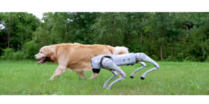 Robot Perro Unitree Go2 EDU Plus con IA para Educación STEM, Laboratorios Universitarios y Competiciones Tecnológicas - Product Image 3