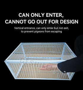 Barres de fil métallique cadre porte de <span class=keywords><strong>cage</strong></span> de pigeon entrée à sens unique portes d'activités de pigeon de course empêcher la porte de piège de pigeon volant - Product Image 3