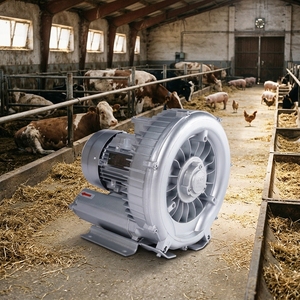 Souffleur à anneau filtrant d'air au design élégant, à large <span class=keywords><strong>application</strong></span>, compatible OEM/ODM, pour la désodorisation - Product Image 1