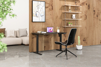 Bureau de jeu électrique ergonomique moderne haut de gamme à moteur unique, réglable en hauteur, pour position assise ou debout