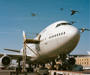 บริการขนส่งทางอากาศไปยังเซี่ยงไฮ้เปเทอร์สเบิร์กสำหรับการขนส่งสินค้าอิเล็กทรอนิกส์ทั่วไปและส่งเอกสารด่วน - Product Image 1