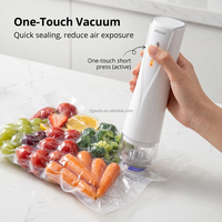 Machine de mise sous vide portable sans fil 65KPa à prix d'usine, dispositif de conservation alimentaire avec sacs réutilisables pour camping-car et voyage