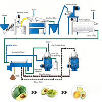 Usine de traitement d'huile d'avocat 1T/H, presse à huile d'olive vierge avec mélangeur de pâte, décanteur triphasé et séparateur à disques