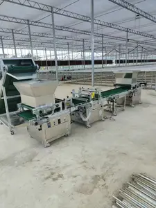 Seedling Tray Machine Seeding Planting Machine Plug Seedling Machine