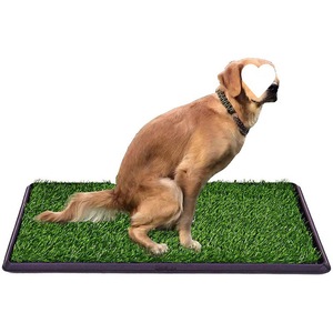 Almohadilla de hierba para perros con bandeja, alfombrillas de césped artificial, almohadillas lavables para orina de hierba para perros, bandeja para orinal de inodoro para mascotas para cachorros y mascotas pequeñas - Product Image 2