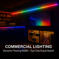 WiFi Smart App Music Sync Lighting Dream Color LED Controller IR Remote Magic RGB RGBIC Controlador LED direccionable