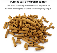 Catalyseur d'oxyde de fer de haute pureté 99,9 % de la marque Boyue pour l'élimination du soufre dans les raffineries et les applications adsorbantes