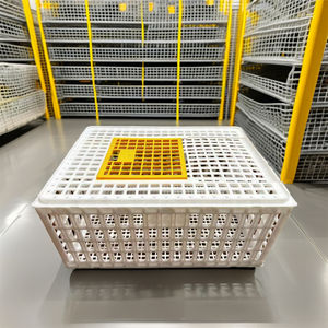 Jaula <span class=keywords><strong>de</strong></span> Transporte Plegable y Resistente <span class=keywords><strong>de</strong></span> 5 kg para Aves <span class=keywords><strong>de</strong></span> Corral, Jaula <span class=keywords><strong>de</strong></span> Transporte para Gansos, Caja <span class=keywords><strong>de</strong></span> Transporte Plegable para <span class=keywords><strong>Pollos</strong></span> <span class=keywords><strong>de</strong></span> <span class=keywords><strong>Engorde</strong></span> para Granja - Product Image 3