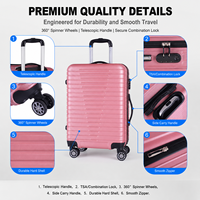 Juego de Maletas Rígidas de ABS del Fabricante, Color Rosa, 3 Piezas, con Ruedas Giratorias, para Distribuidores, Proveedor de Logotipos Personalizados