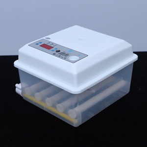 Incubateur Intelligent Mini Ménager Hautement Automatique 9/12/16 Œufs pour l'Incubation <span class=keywords><strong>d</strong></span>'Œufs <span class=keywords><strong>d</strong></span>'<span class=keywords><strong>Oiseaux</strong></span> - Product Image 6