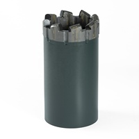 Forets PCD T6 101