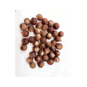 Sapindus Mukorossi de Qualité Supérieure, Graine de Savonnette Sauvage Récoltée, Produit de Soin Capillaire Herbal pour Cheveux Sains et Brillants, Conditionné en Sachet - Product Image 2