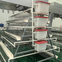 Nouveau système de cages en batterie pour poules pondeuses de type A avec alimentation automatique pour la production d'œufs en petite ferme, gain de place