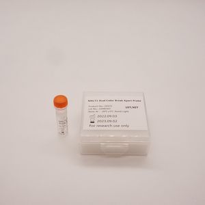 MALT1 Dual Color Break Apart sonde pour tumeur rénale et lymphome Fluorescence Kit d'hybridation in situ - Product Image 4