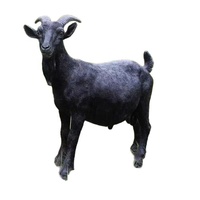 Patung Resin Hewan Kambing Hitam Simulasi SE7ART untuk Luar Ruangan, Buatan Tangan, Ukuran Asli, Antik, untuk Pemasangan di Lantai, Taman, Hutan, Peternakan, Halaman Rumput