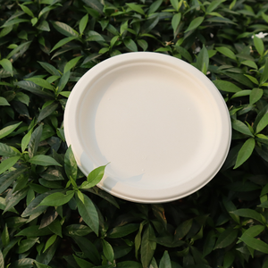 STAVIAN Haute Qualité 100% Assiettes Jetables Biodégradables à Base de Plantes Écologiques 6 Pouces Blanc Brun Couleurs Naturelles - Product Image 3