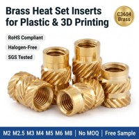 Heat Set Insert for Plastic M2 M2.5 M3 M4 M5 M6 M8 Brass Knurled Threaded Nut for 3D Printing Injection Molding