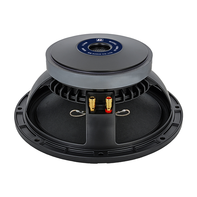 2.5-Inch Voice Coil Outdoor Subwoofer System 10-Inch Ferrite Speaker 600W 8ohm Designed for Party Live