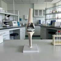 Modèle de remplacement de l'articulation du genou - Modèle d'anatomie de prothèse de genou artificielle pour l'enseignement médical orthopédique