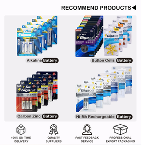 GigaCell Dry <span class=keywords><strong>Battery</strong></span> 1,5 V Super Alkaline LR6 Tamaño <span class=keywords><strong>AA</strong></span> Batería con tarjeta retráctil OEM Batería Marcas Juguetes educativos - Product Image 3