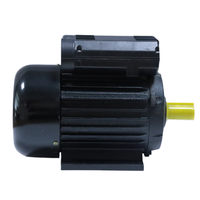 Moteurs électriques à induction monophasés AC série YL 220v 4kw 5.5hp pour pompes