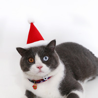 Chapeau d'anniversaire pour animaux de compagnie, bandeau de Noël pour chats et chiens, accessoires de fête, fournitures pour animaux de compagnie, vente en gros