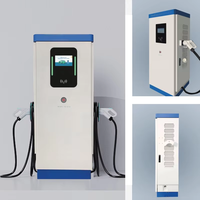 Nouvelle station de recharge rapide DC pour véhicules électriques TZY avec écran publicitaire, prise en charge 80KW 120KW 160KW 180KW OCPP CCS1 CCS2 GBT, vente en gros pour usines commerciales