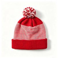 Gorra de Golf Multicolor con Pompón, Bola Pequeña y Esponjosa, Logotipo Bordado Personalizado, Gorro Deportivo de Invierno, MOQ Bajo, Fábrica en Vietnam