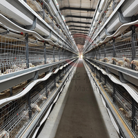 Cage d'élevage de poulets galvanisée de conception moderne, type H, à 3/4 niveaux, pour l'abattage automatique des volailles de chair