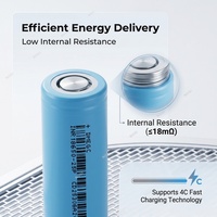 Sel Baterai Silinder DMEGC 18650 NMC 3.7V 2500mAh dengan Sirkuit Proteksi Keamanan Tinggi Untuk Mainan Anak dan Sistem Pengamanan Hewan Peliharaan