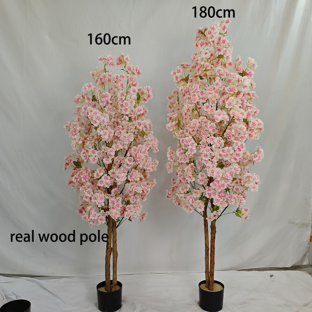 #1 (about 160cm)
