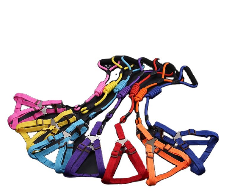 Лидер продаж, товары для домашних животных 2021, набор принадлежностей для собак, комплект из трех предметов, ошейник с поводком, аксессуары для собак