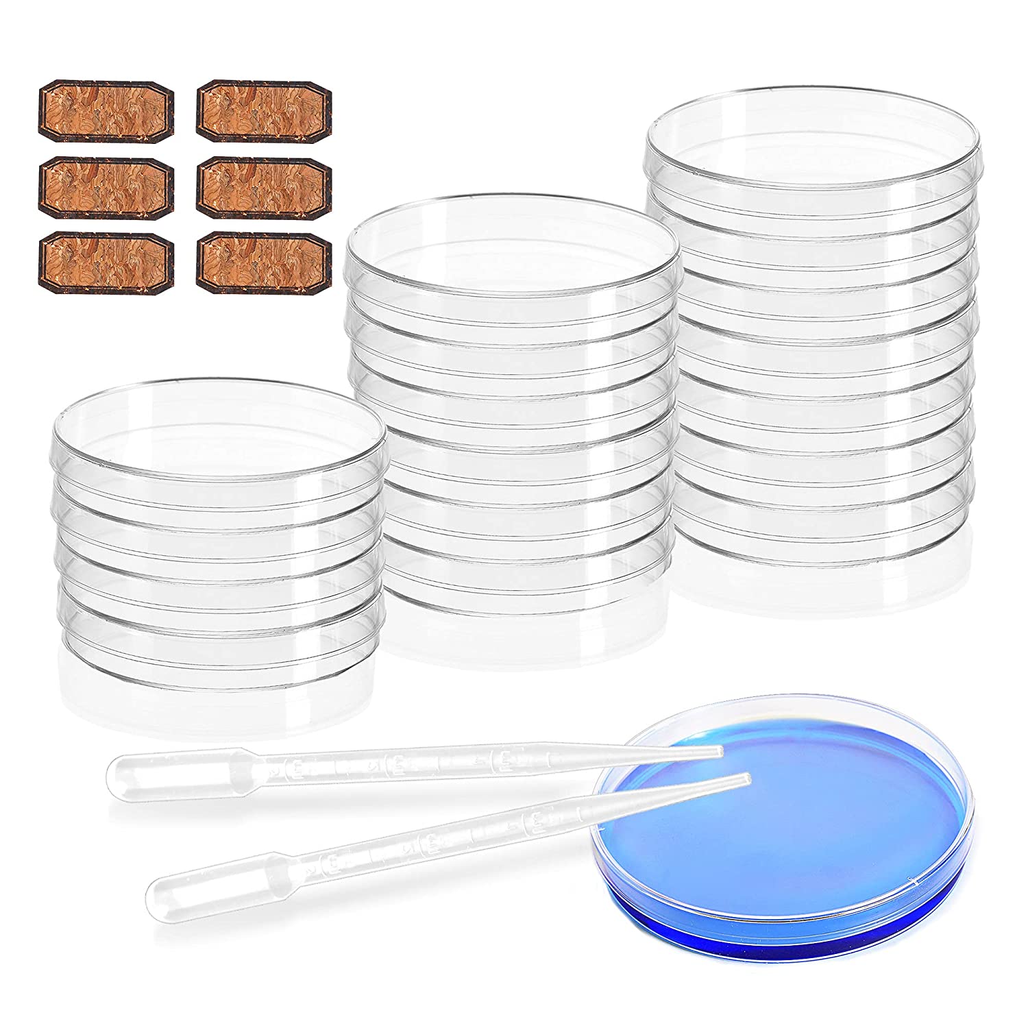 Sterilized Disposable Different Size Plastic 60mm 60x13 Sterile Petri Dishes