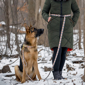 Özelleştirilebilir Moda Baskılı Yumuşak Naylon Polyester Ayarlanabilir Köpek Tasması - Özel Renk ve Logolu OEM/ODM Özelleştirme Hizmeti - Product Image 2